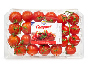 Campari Tomatoes